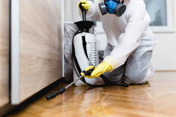 Best Flea Control Services  in Quinlan, TX