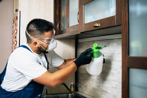 Best Local Pest Control Services  in Quinlan, TX