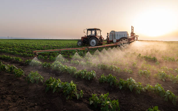 Best Pest Inspection Near Me  in Quinlan, TX