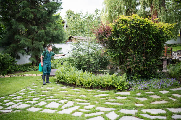 Best Affordable Pest Control Services  in Quinlan, TX