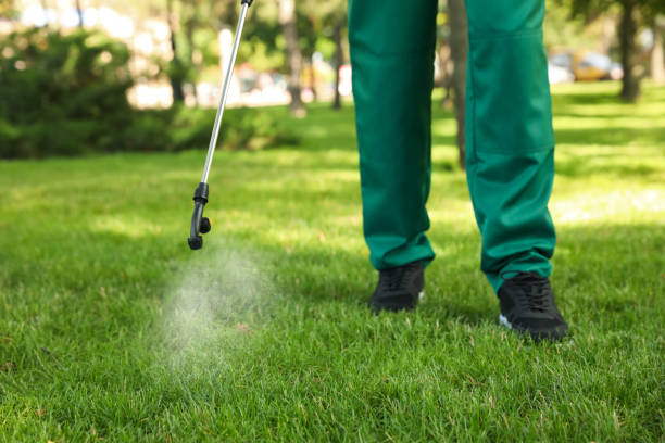 Professional Pest Control in Quinlan, TX