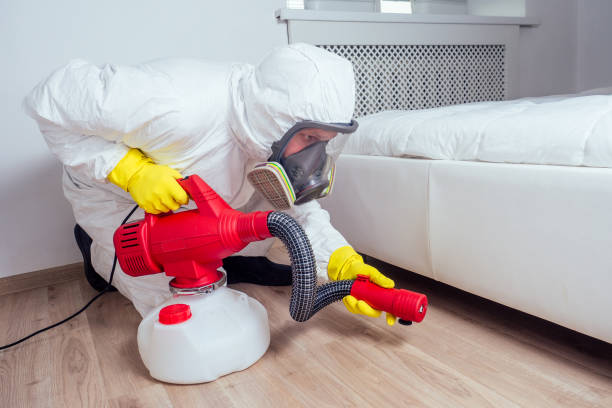 Best Emergency Pest Control  in Quinlan, TX