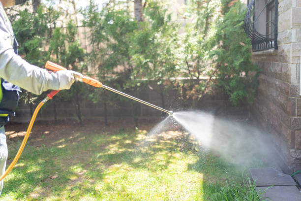 Best Affordable Pest Control Services  in Quinlan, TX