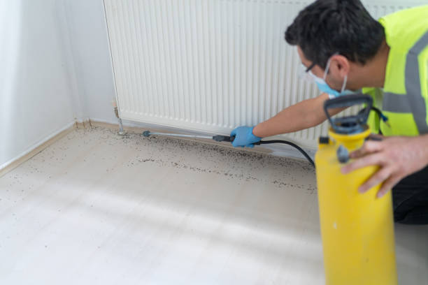Best Pest Control Near Me  in Quinlan, TX